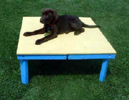pause table