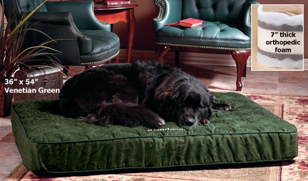Dog Greenies 