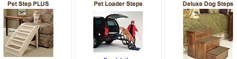 Secrets to Dog Training