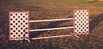 Lattice Jump