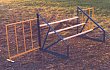 AKC Triple Jump