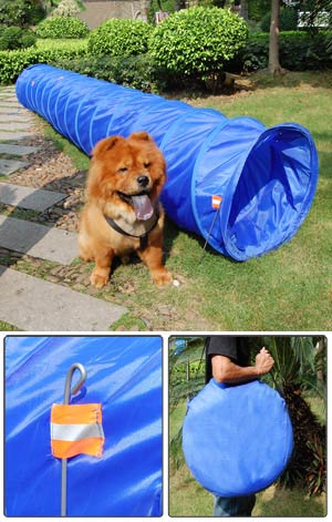 dog gate