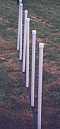 Weave Poles